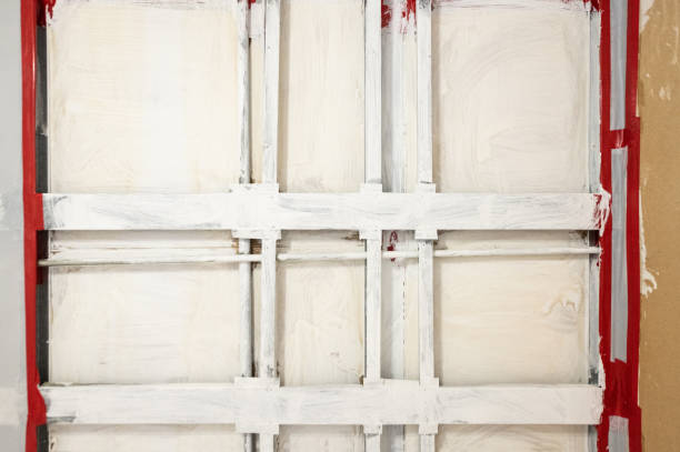 Best Emergency Mold Remediation  in Wellsburg, WV
