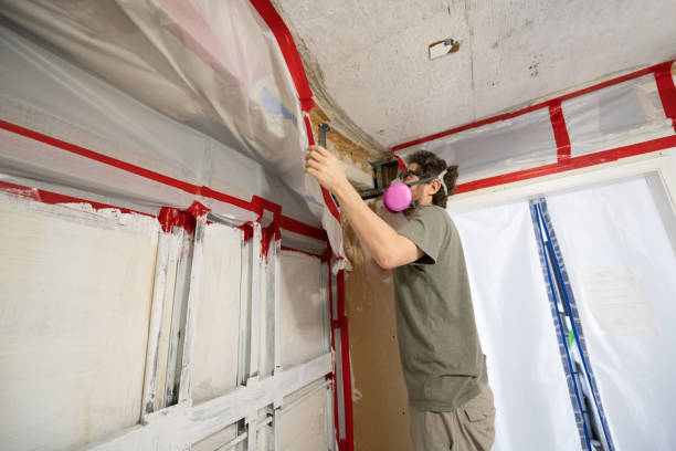 Best HVAC Mold Inspection and Cleaning  in Wellsburg, WV